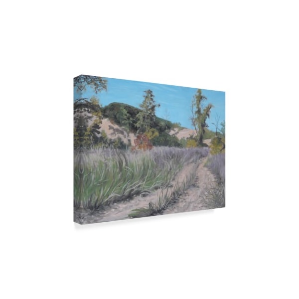 Rusty Frentner 'Country Road' Canvas Art,14x19